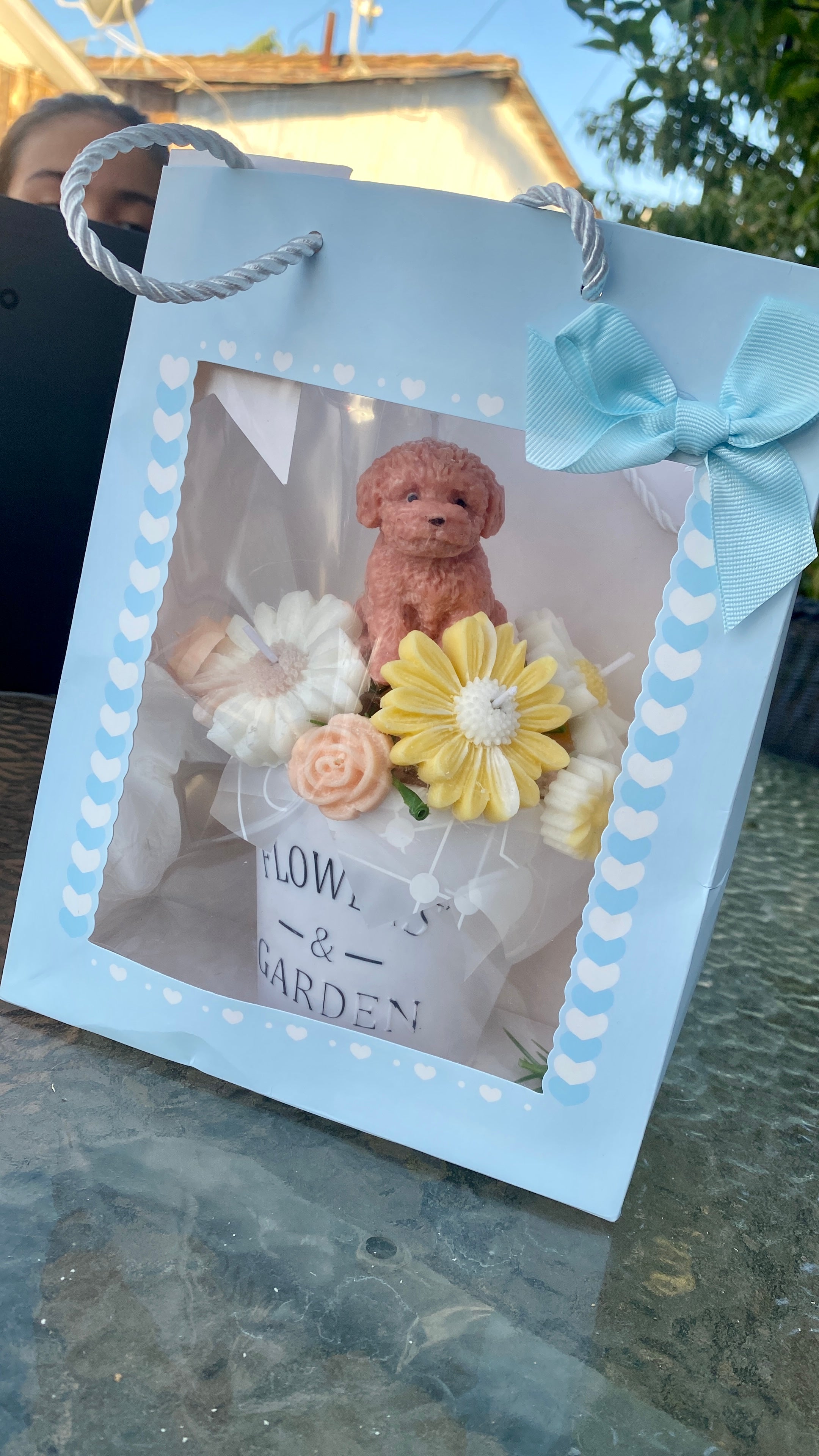 Box de velas aromáticas con perrito