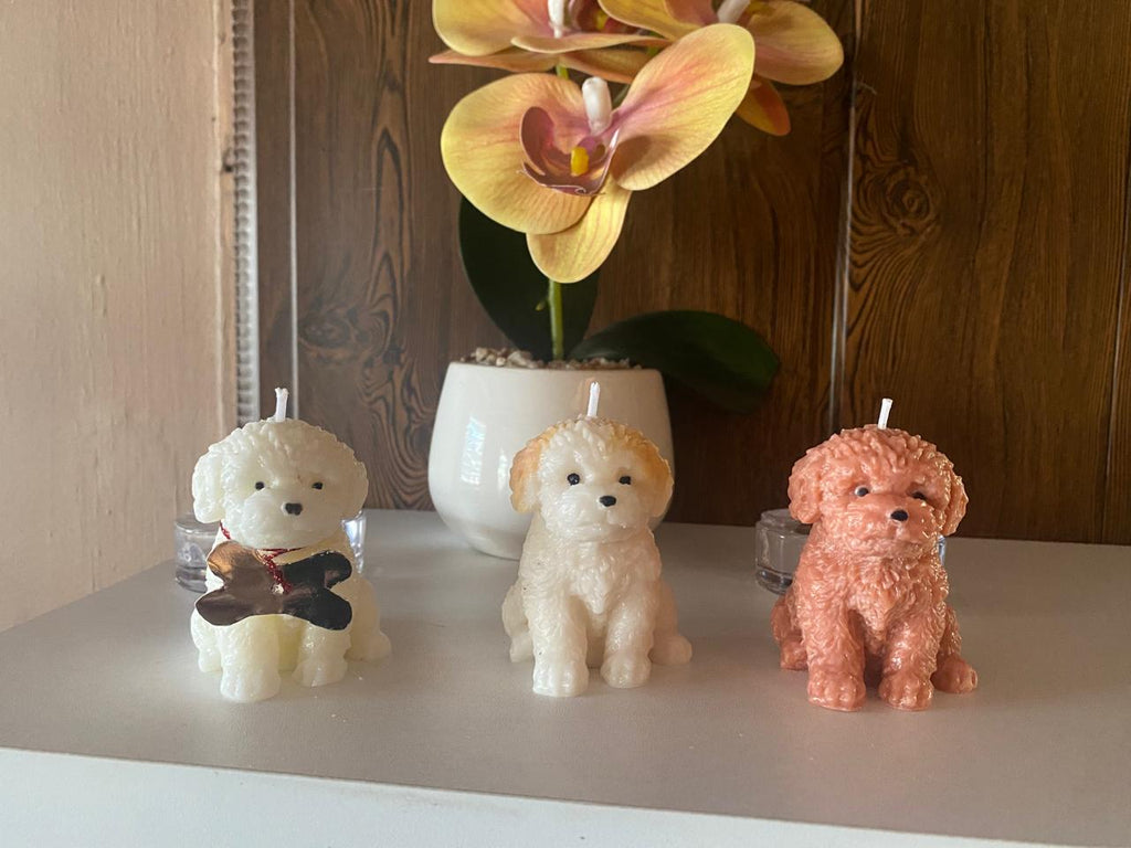 Vela Perrito
